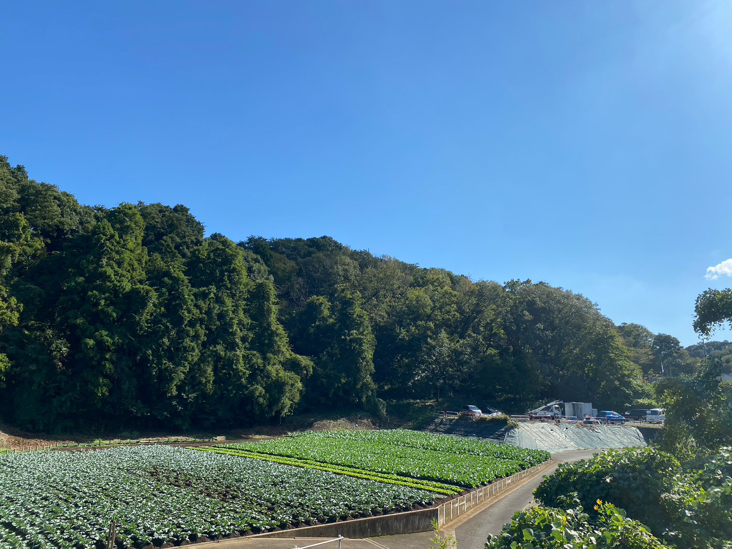 施設について